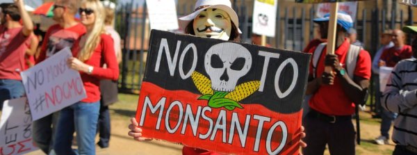 South Africa Monsanto protest